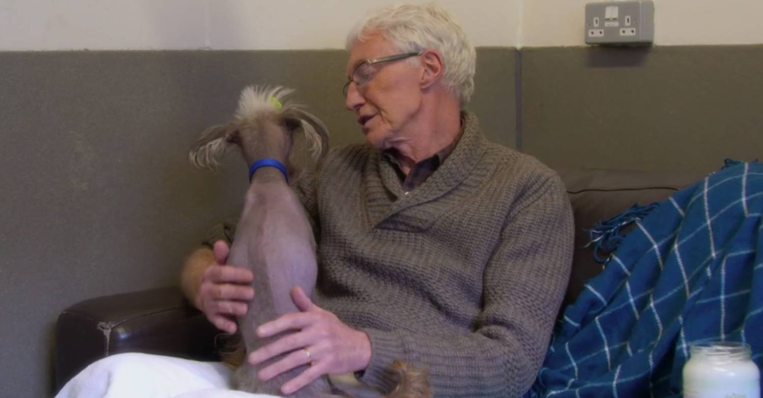 Paul O'Grady pets a pup on For the Love of Dogs