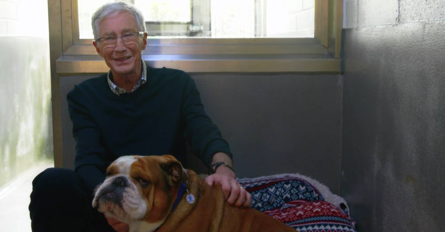 Paul O'Grady strokes a dog on For the Love of Dogs