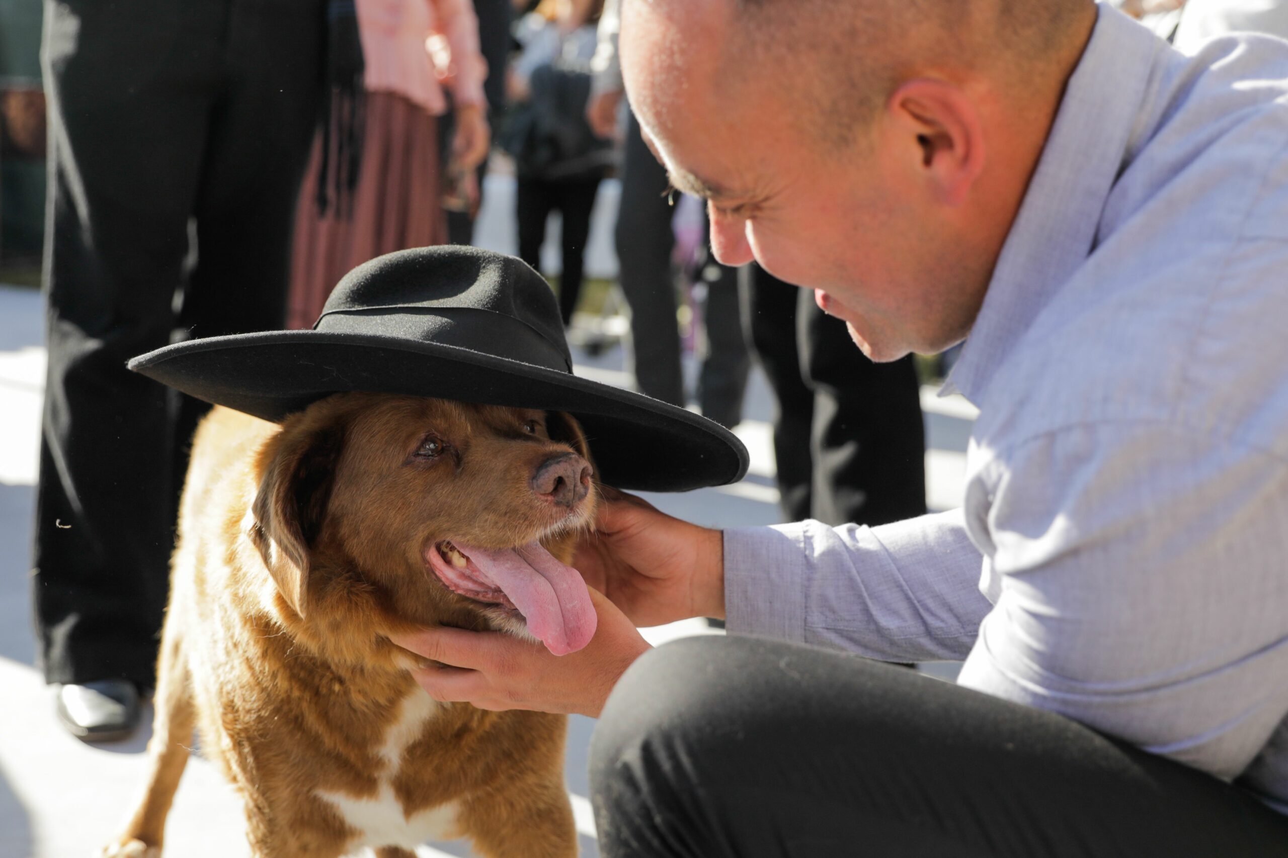 World's oldest dog Bobi with his owner