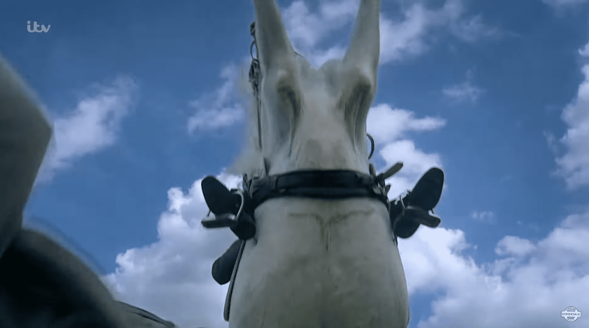 Kim's horse, Ice, rears up in terror in Emmerdale