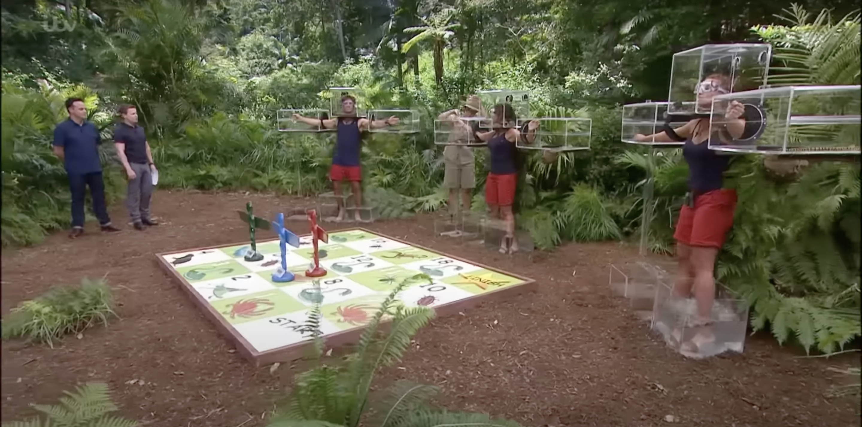 Bushtucker Trial on I'm A Celebrity
