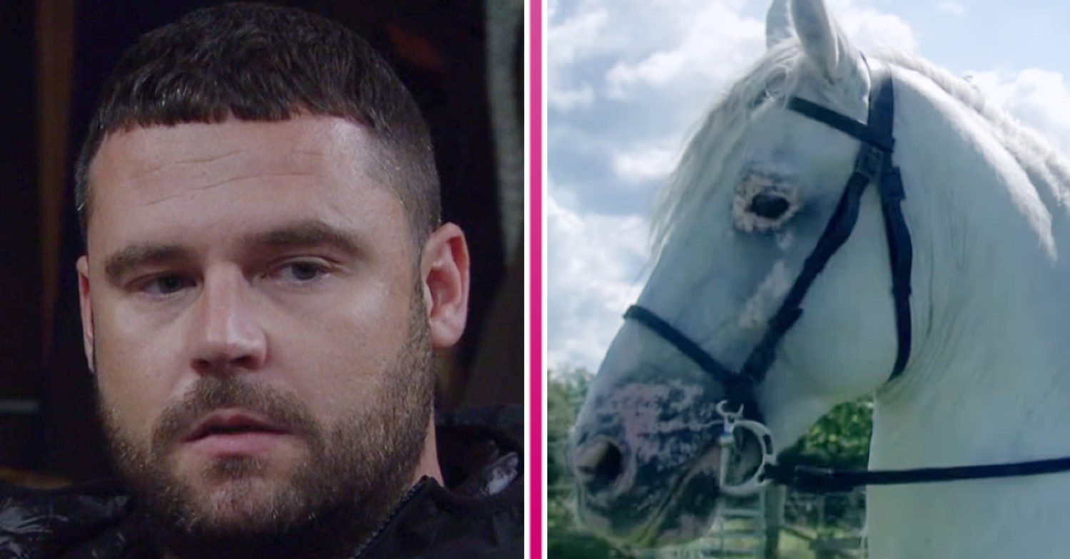 Emmerdale's Aaron and Kim's horse comp image