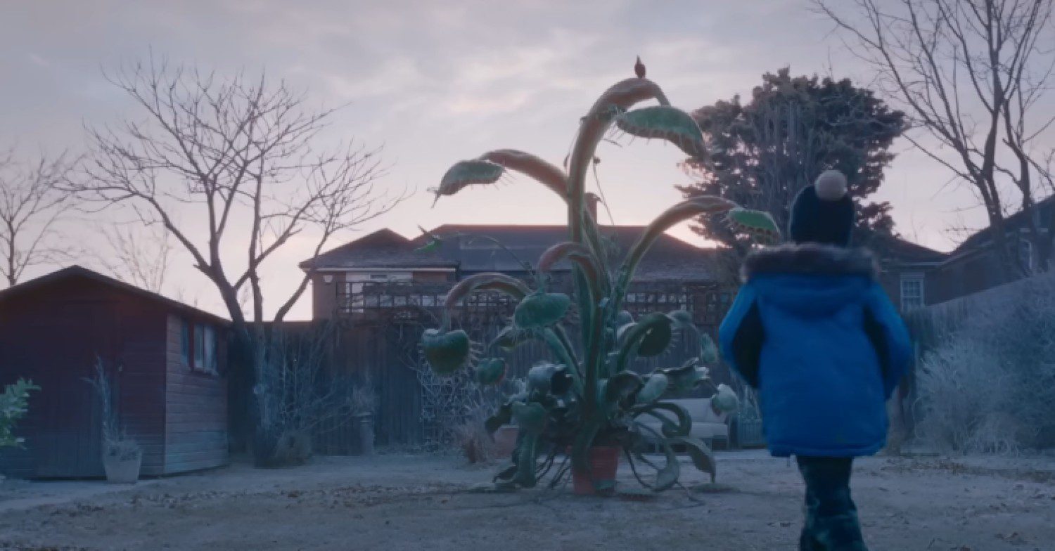 Alien plants in John Lewis ad