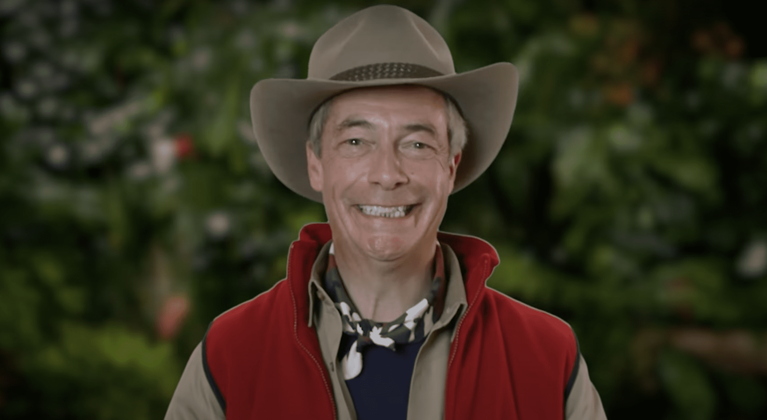 Nigel Farage smiling