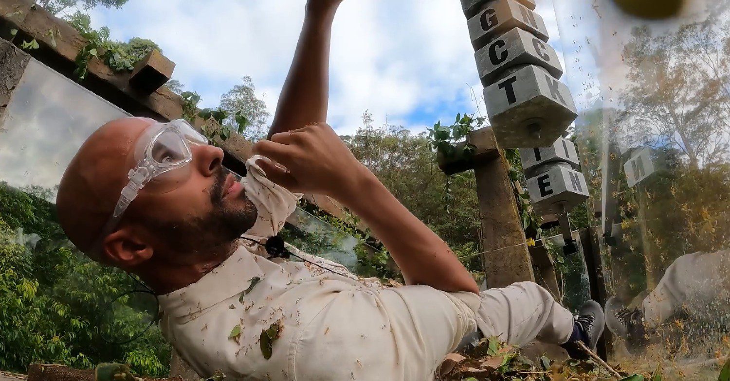 Marvin Humes doing bushtucker trial