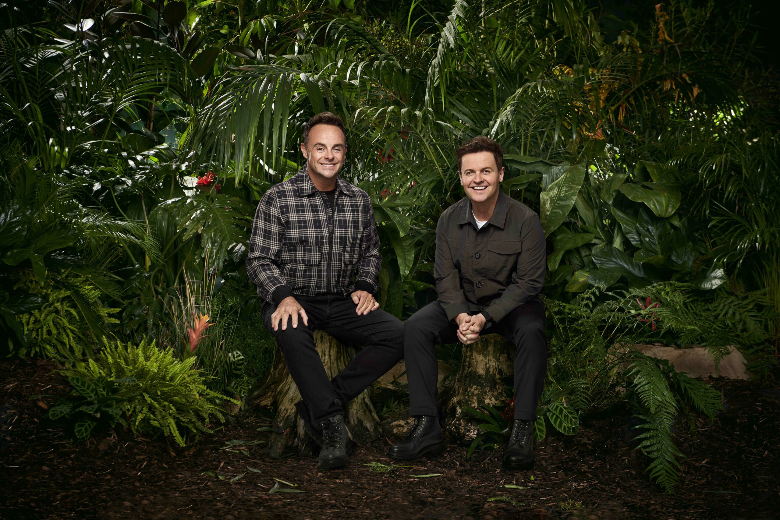 Ant and Dec sit on logs in the jungle in I'm A Celebrity promo shot