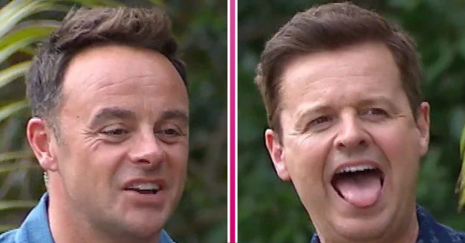 Ant and Dec on I'm A Celebrity first task preview comp image