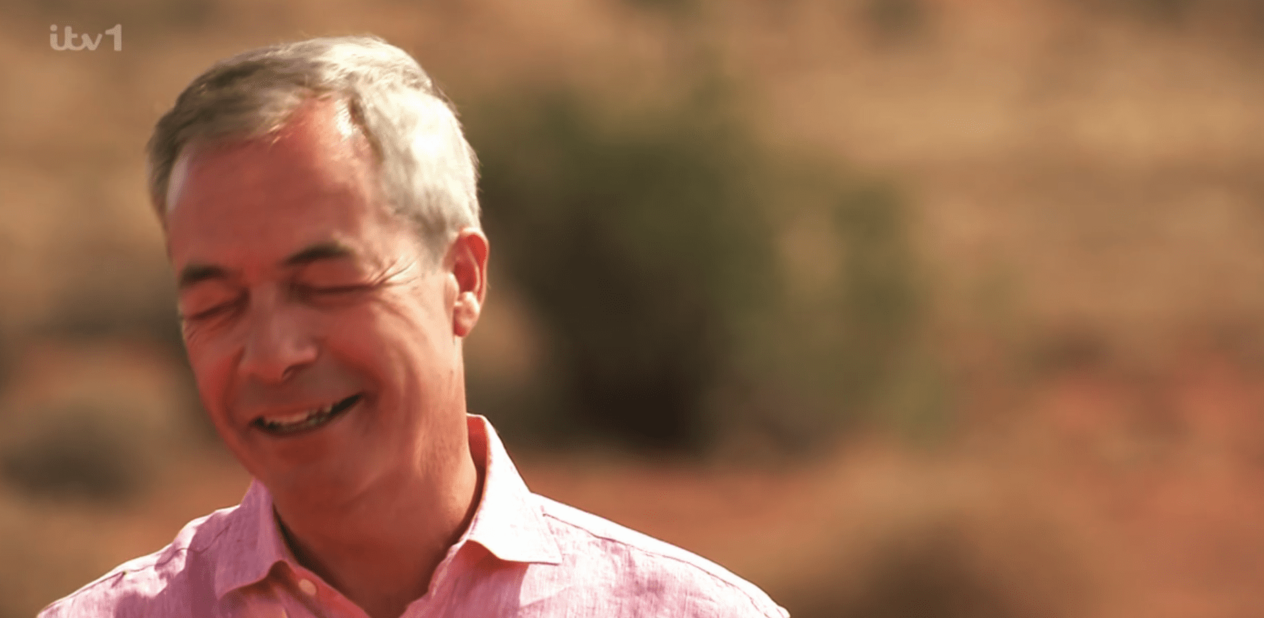 Nigel Farage from I'm A Celebrity smiling