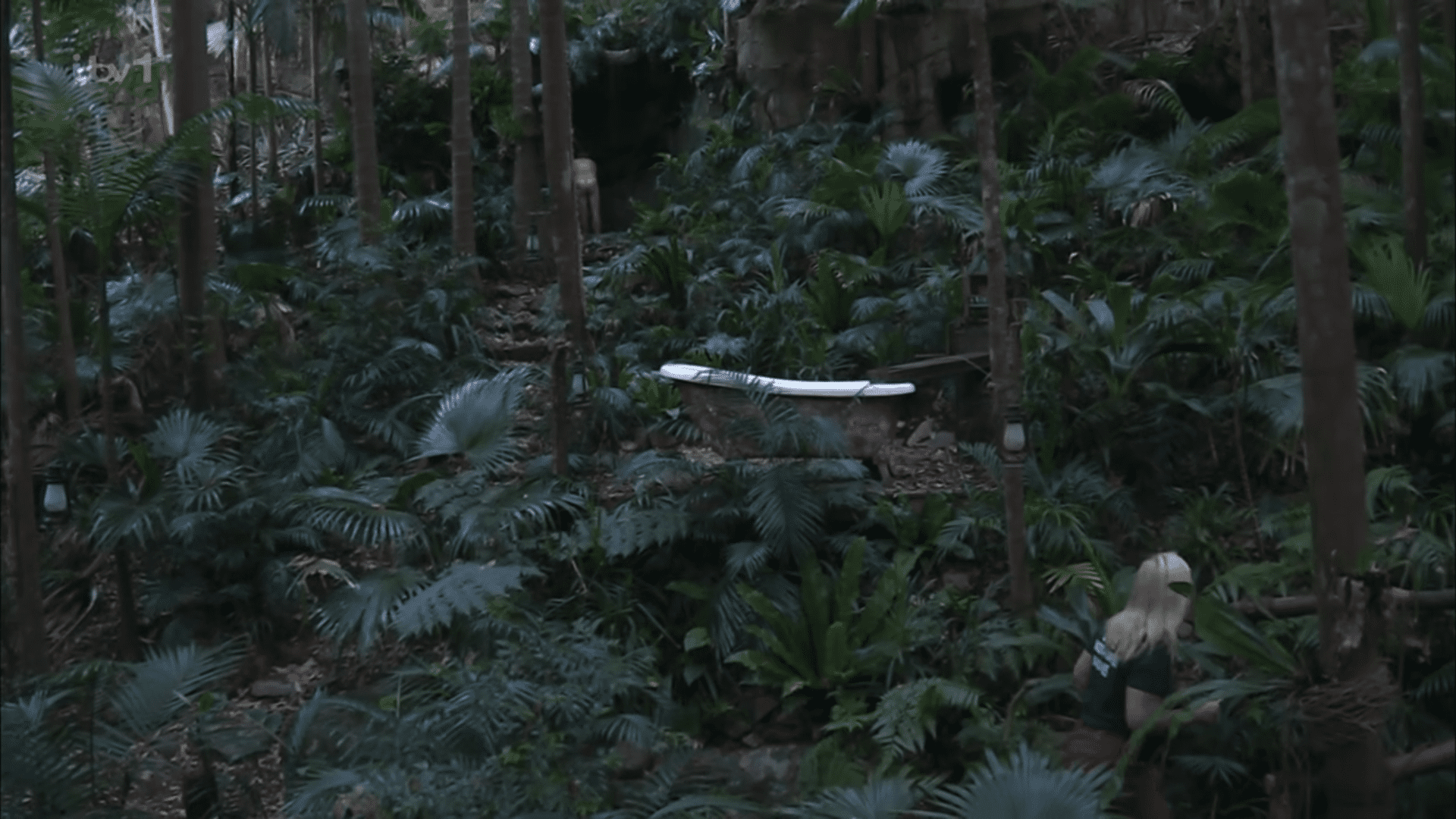 Nigel Farage showering in the jungle