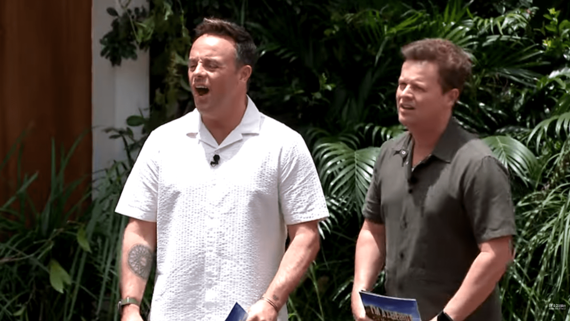 Ant and Dec cry in frustration as they preside over the IAC trial