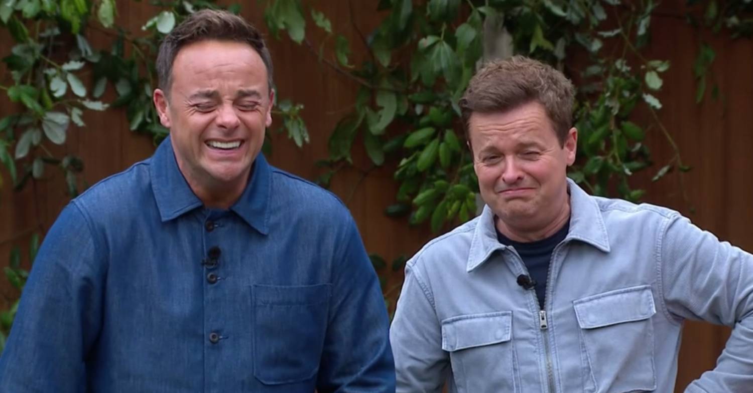 Ant and Dec laugh