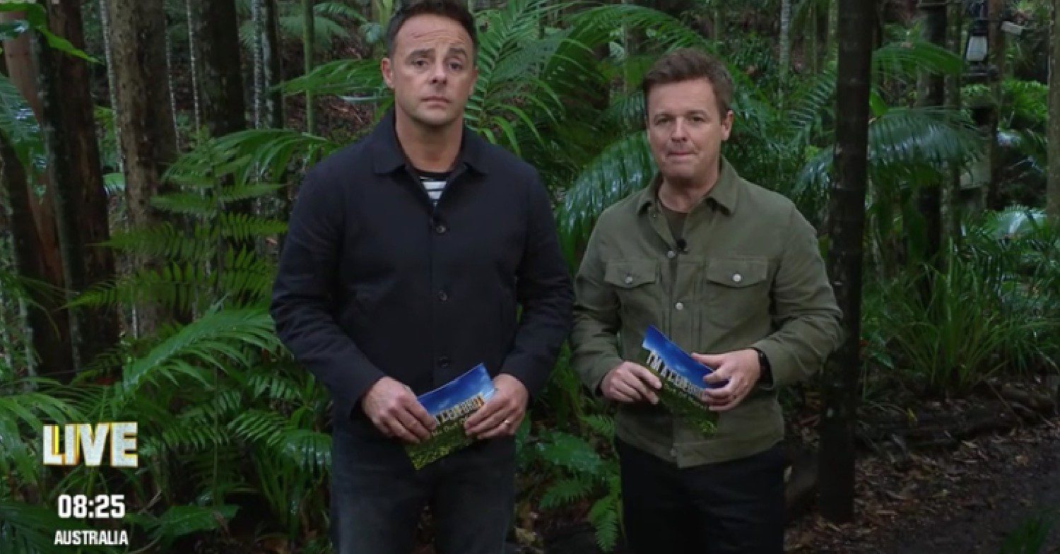 Ant and Dec on I'm A Celeb