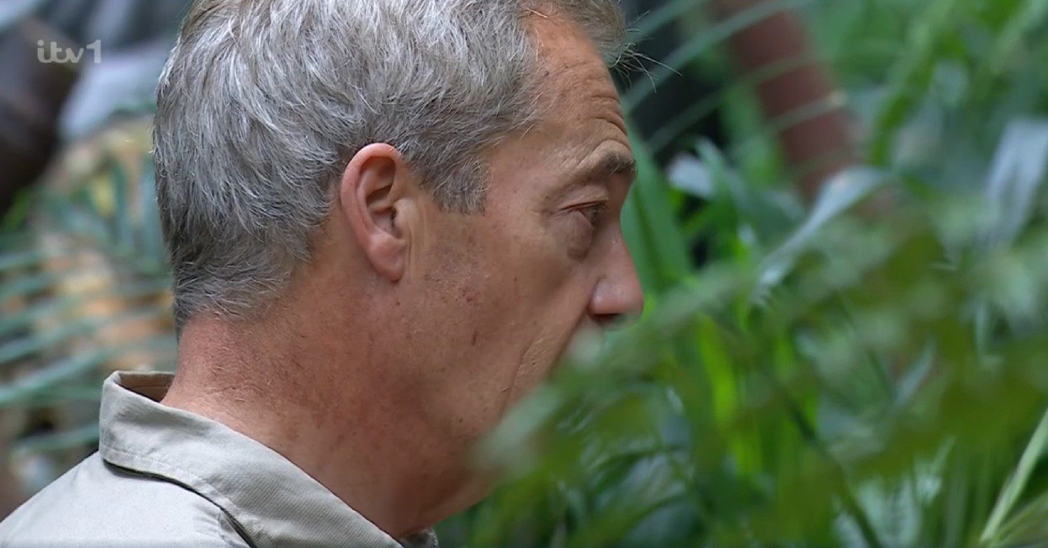 Nigel Farage on I'm A Celebrity