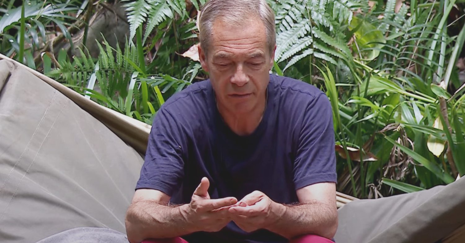 Nigel Farage spoke to Tony Bellow about Brexit