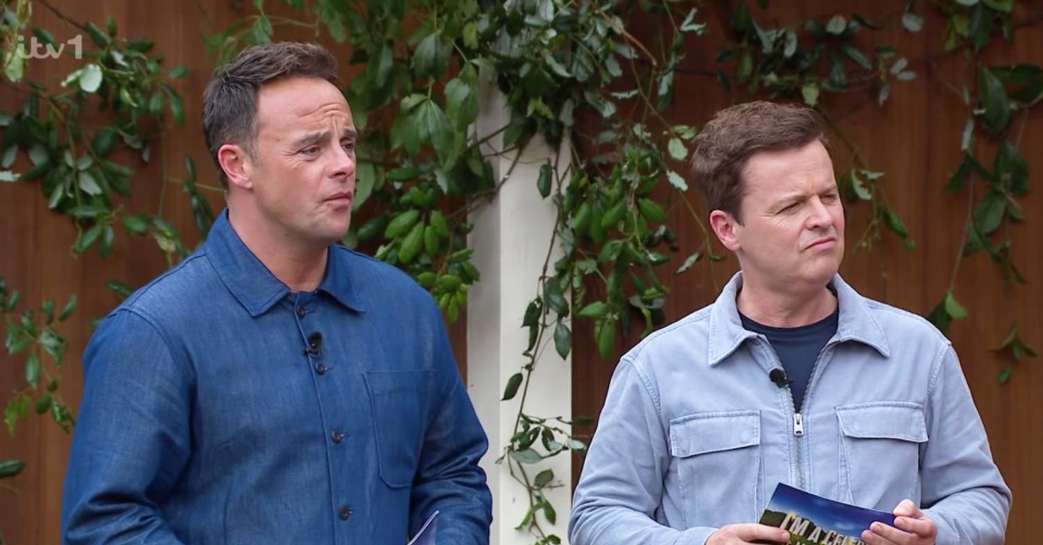 Ant and Dec look confused