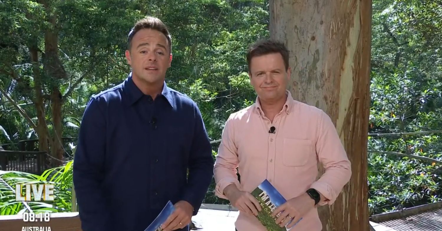 Ant and Dec presenting I'm A Celebrity