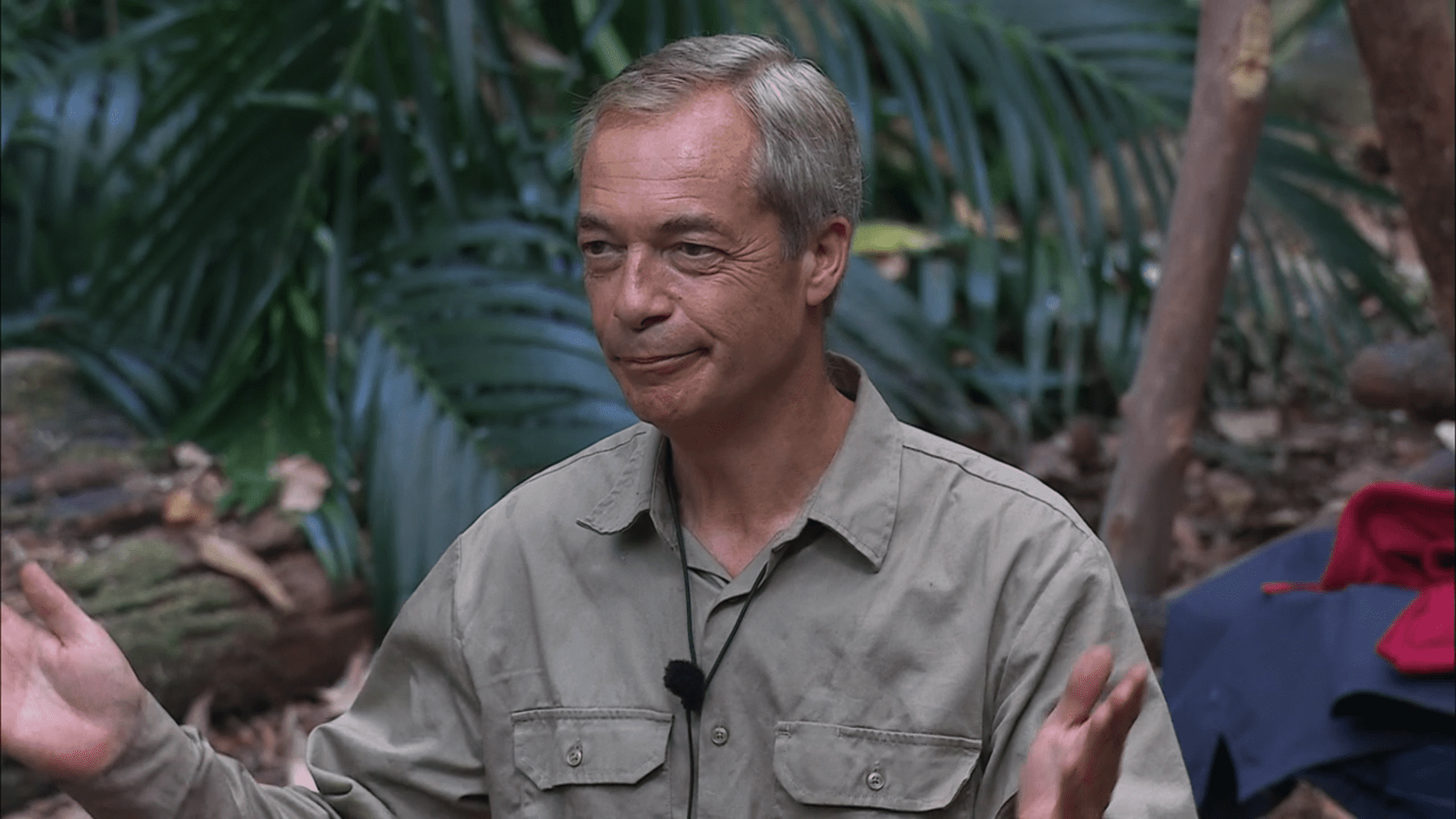 Nigel Farage smirking on I'm a Celebrity