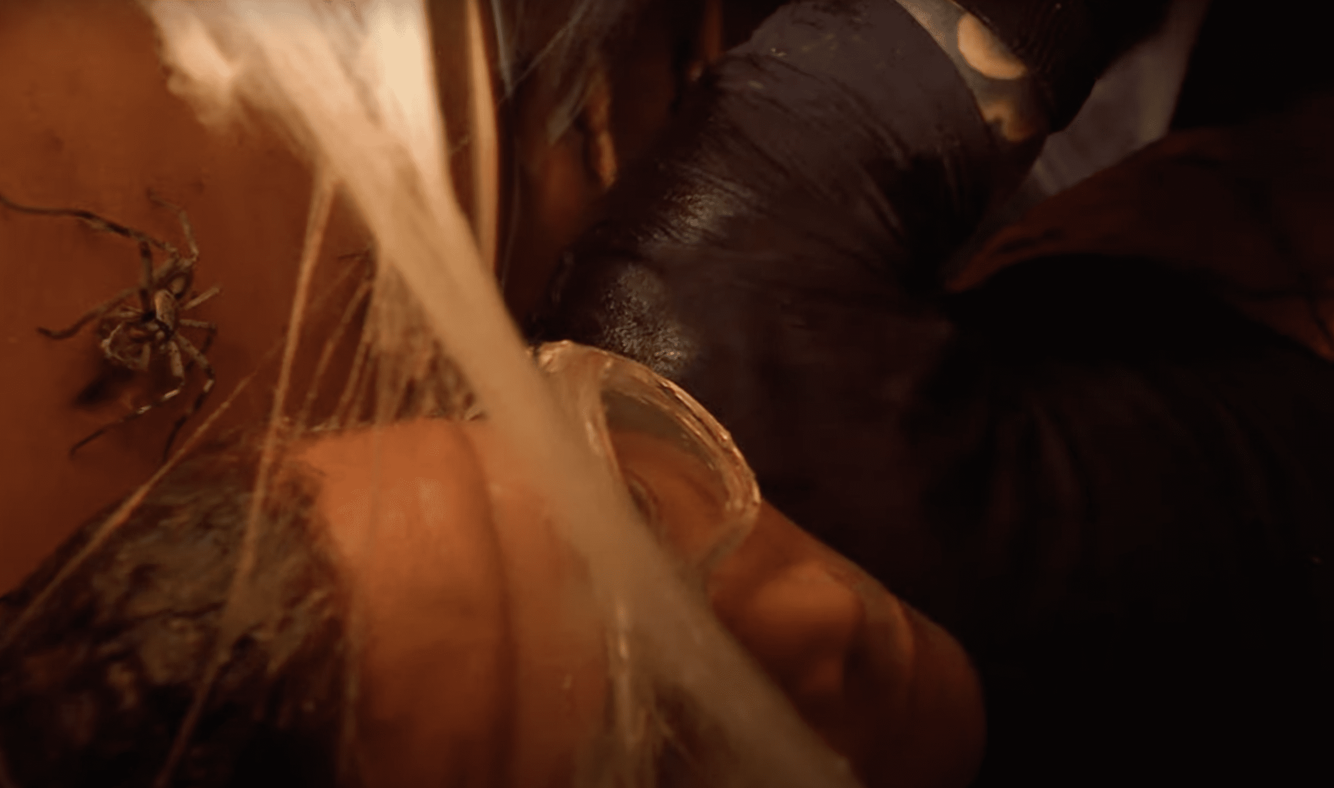 Tony Bellew taking part in a Bushtucker Trial