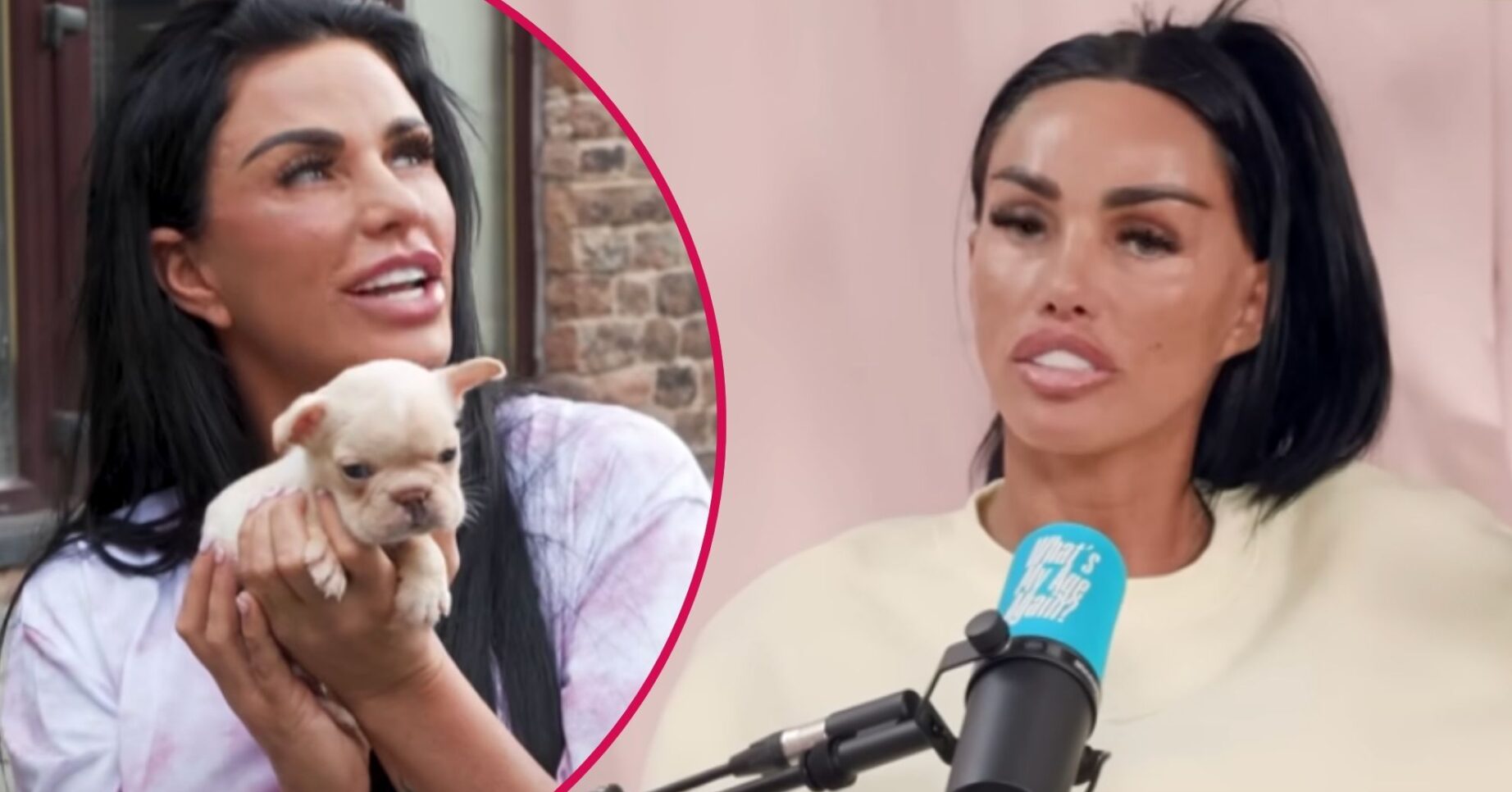 ED comp: Katie Price with puppy / Katie Price on podcast
