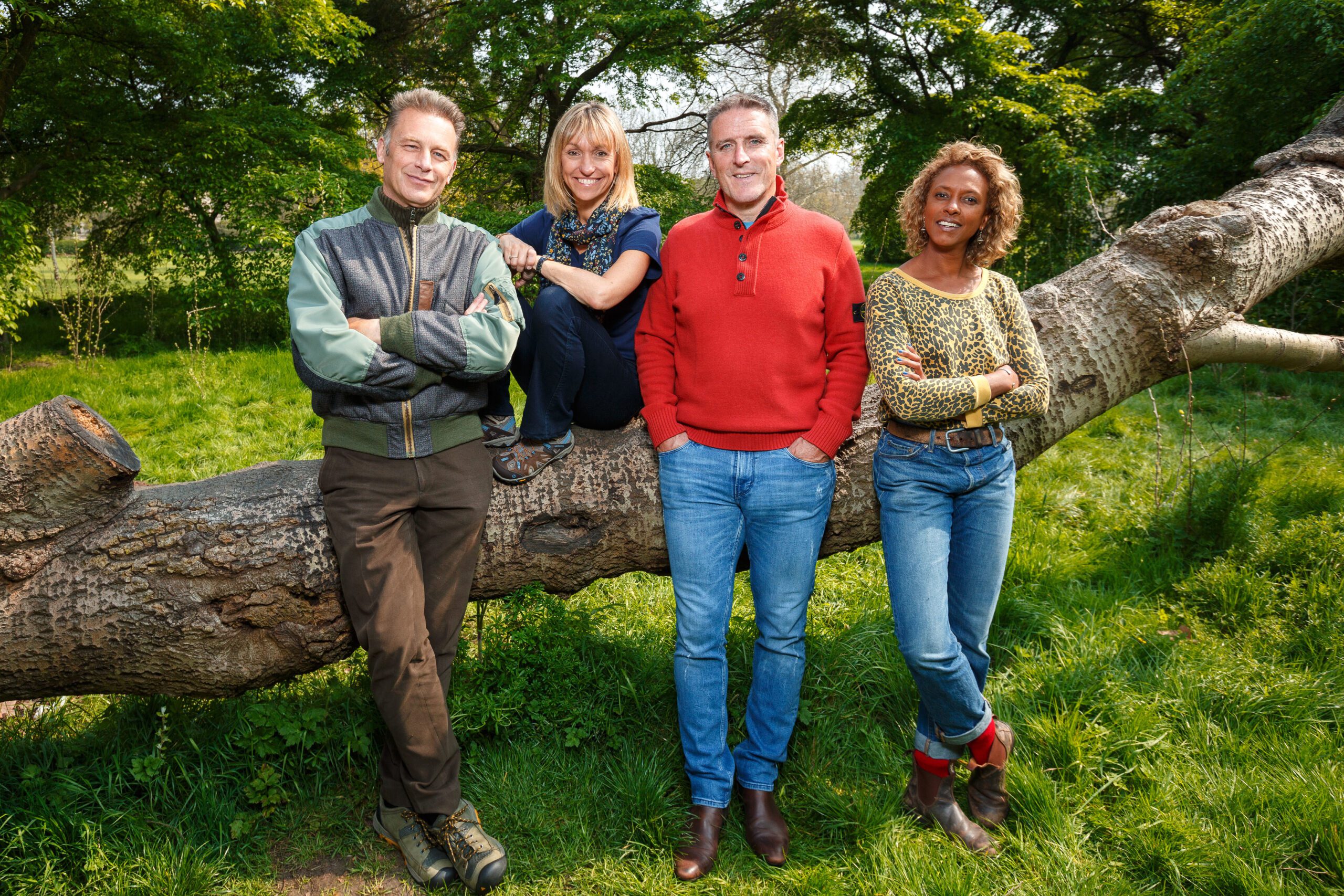 The Springwatch team in 2019: Chris Packham, Michaela Strachan, Iolo Williams and Gillian Burke 