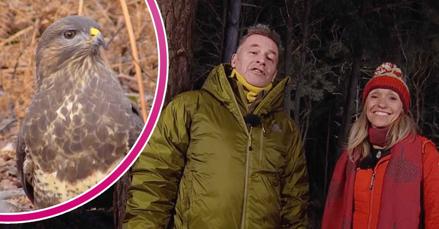 Winterwatch hosts Chris Packham and Michaela Strachan