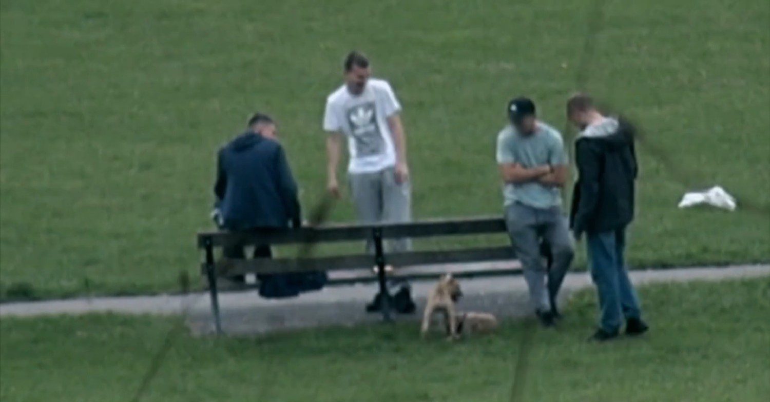 Gang members with dogs on 24 Hours in Police Custody