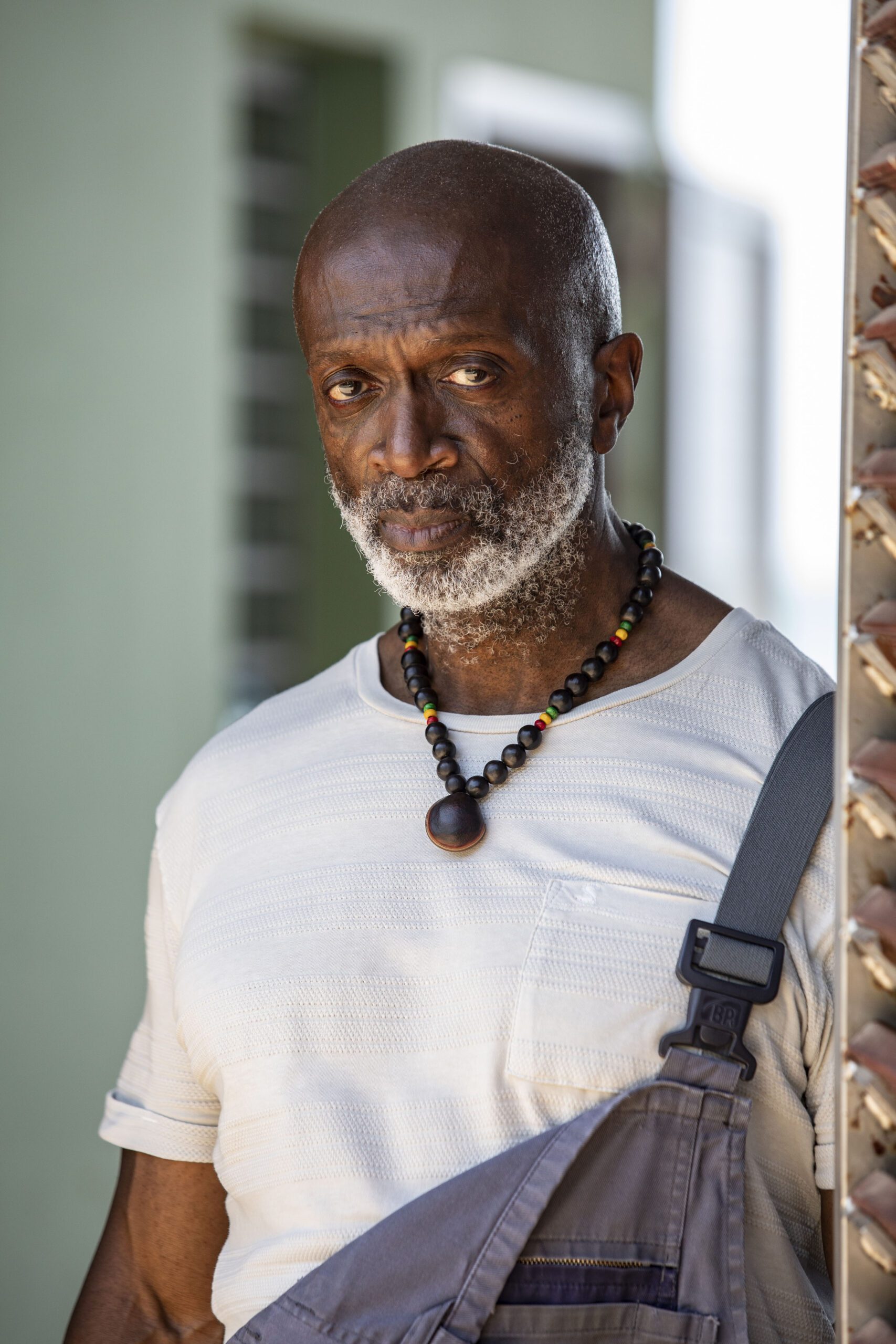 Mensah Bediako as Alton Garvey in Death in Paradise series 13