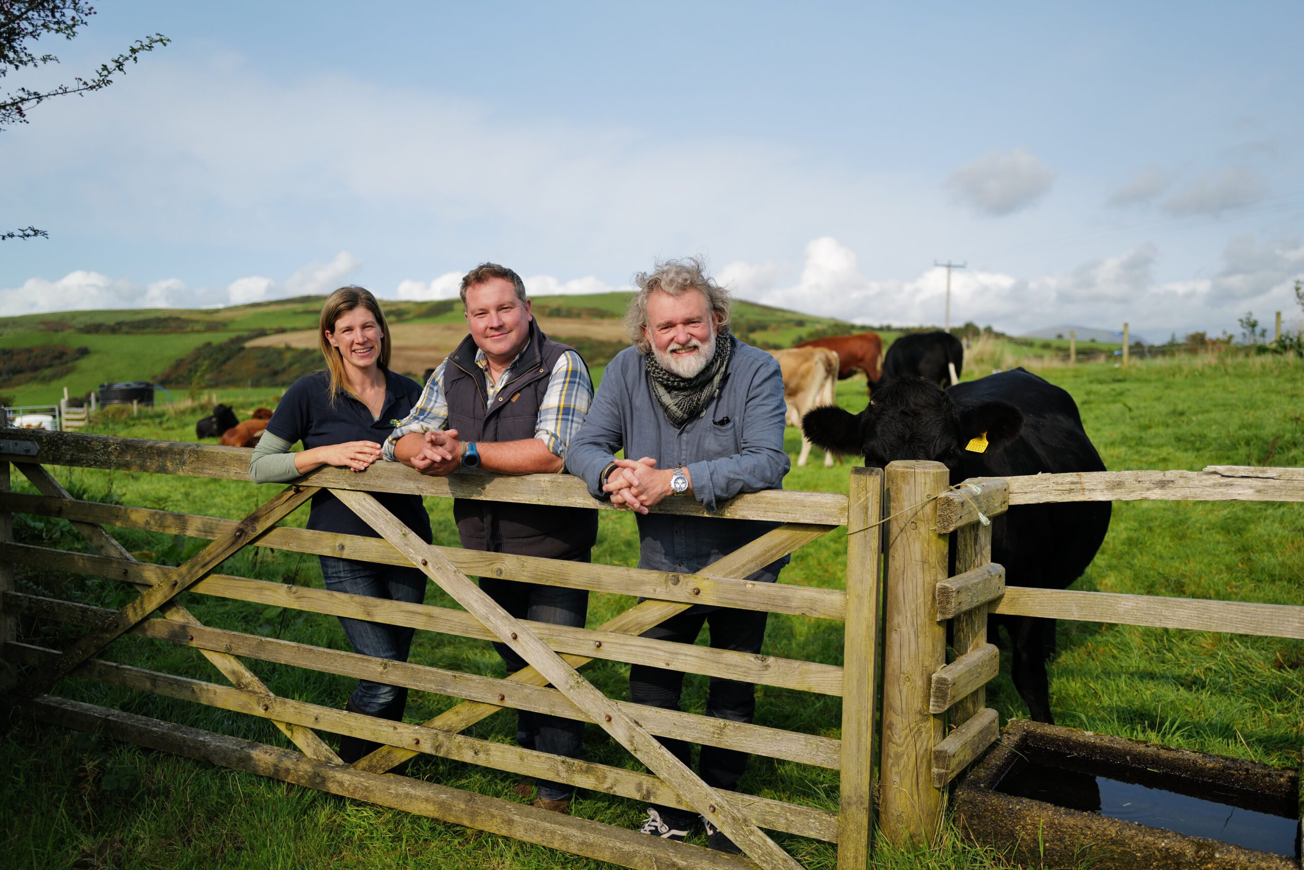 Si King in a field next to a cow