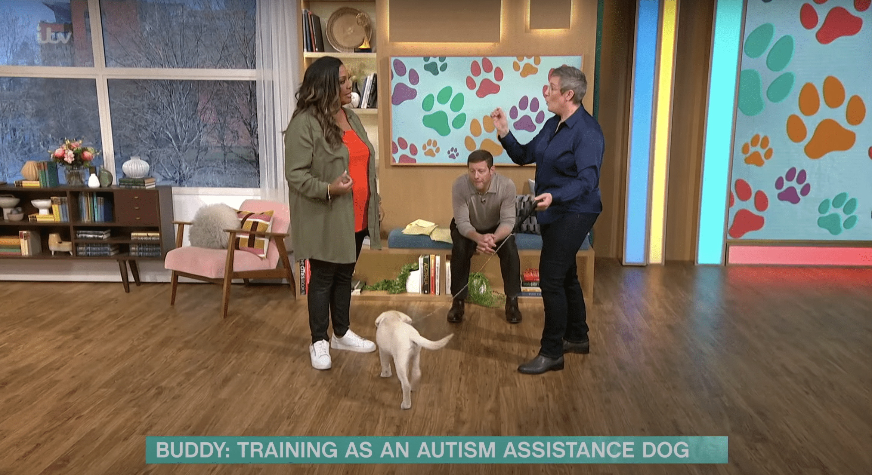 Alison giving puppy buddy a treat on This Morning