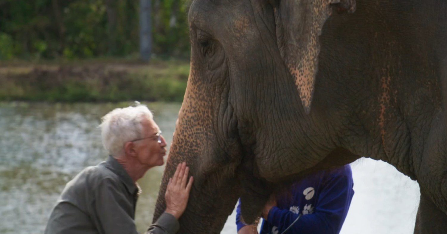 Paul O'Grady kissing elephant on his programme Paul O'Grady's Great Elephant adventure