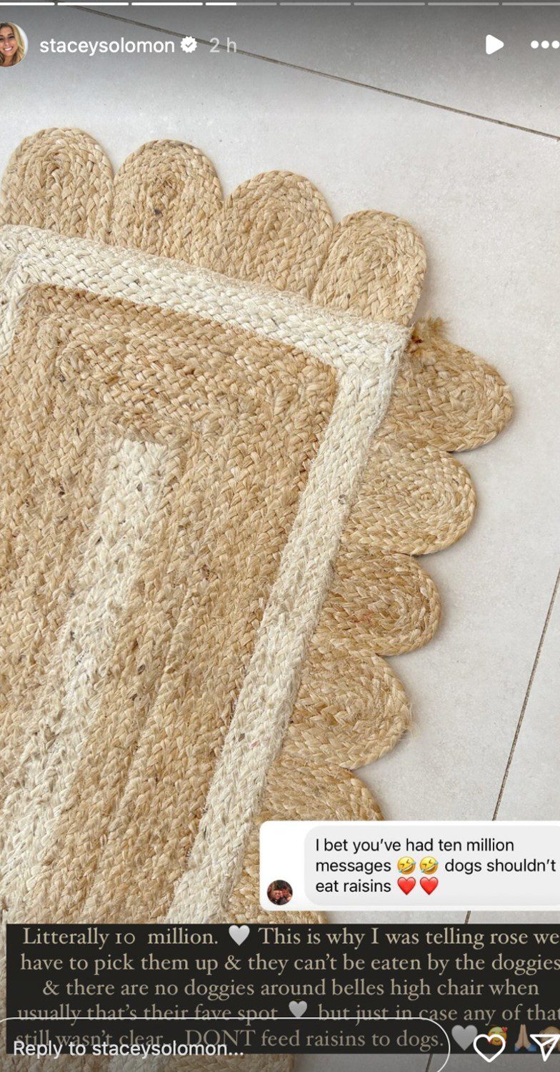 Stacey Solomon receives outpouring of concern over clip of children, Stacey's Instagram story