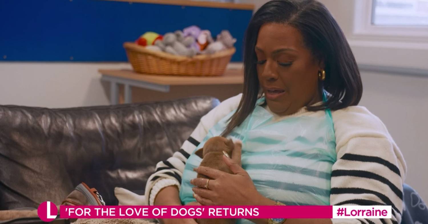 Alison Hammond holds a puppy on For the Love of Dogs