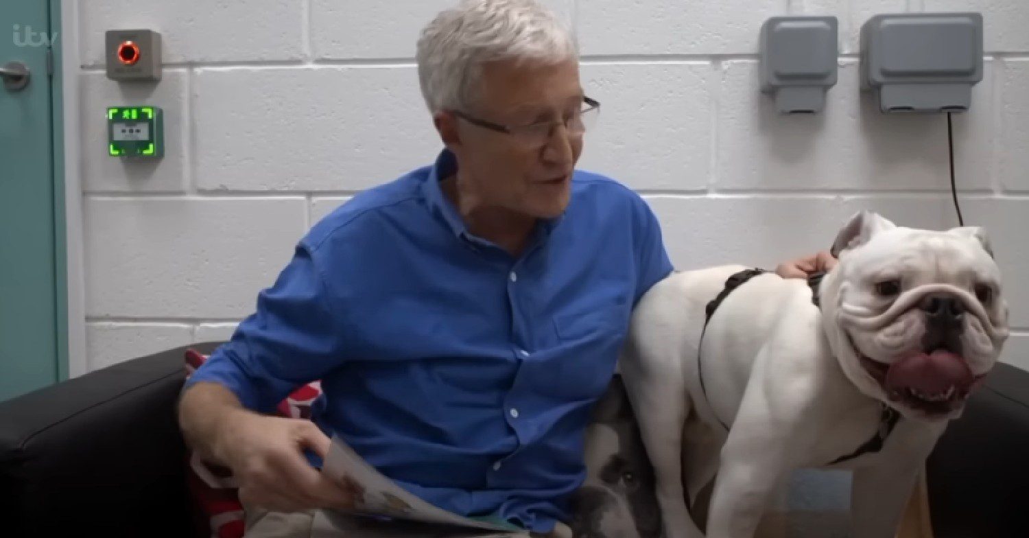 Paul O'Grady cuddling a dog on For the Love of Dogs