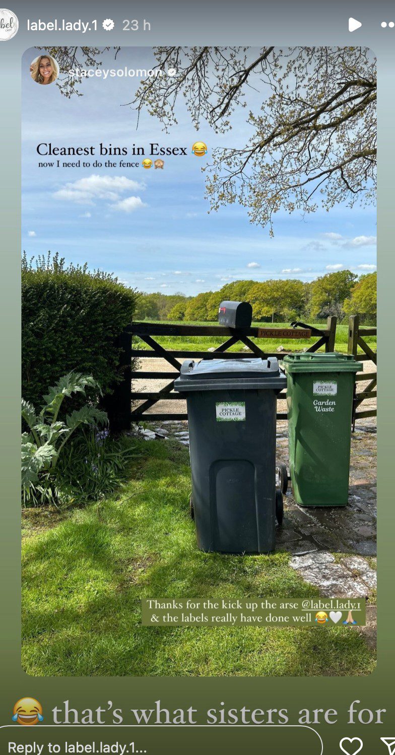 Stacey Solomon's house, Stacey's dirty dustbins in backgarden