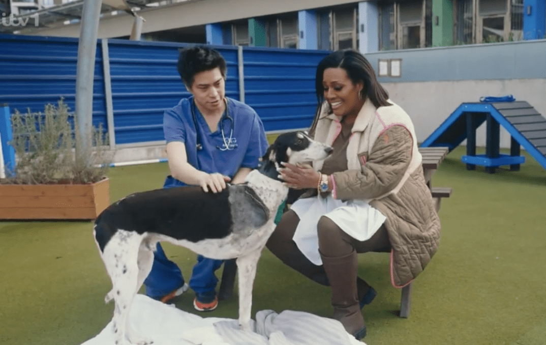 Alison Hammond on For the Love of Dogs