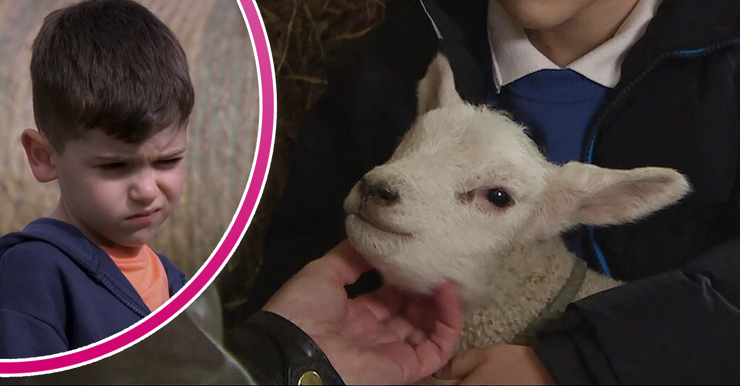 Minty the Lamb and Isaac Dingle in Emmerdale