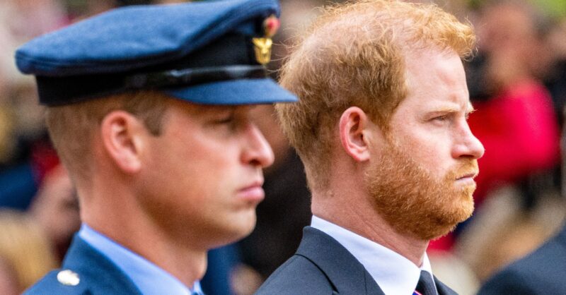 Prince William and Prince Harry
