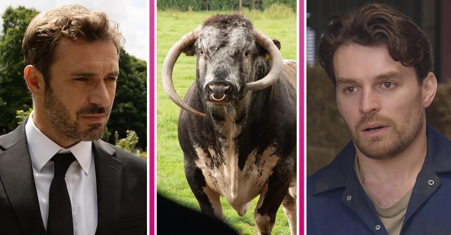 Composite image of Mack Boyd, John Sugden and a bull (Credit: ITV/Composite: ED!)