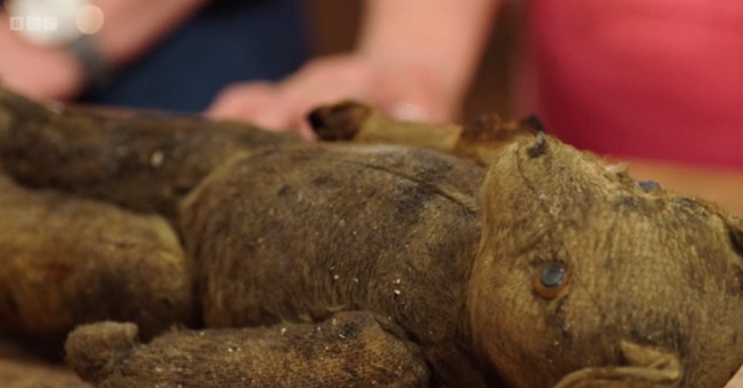 Fire damaged teddy bear on The Repair Shop