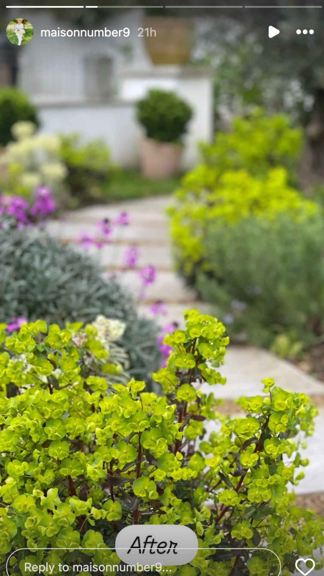 After photo of Shirlie Kemp's cottage garden showing fresh shrubbery and new flagstones