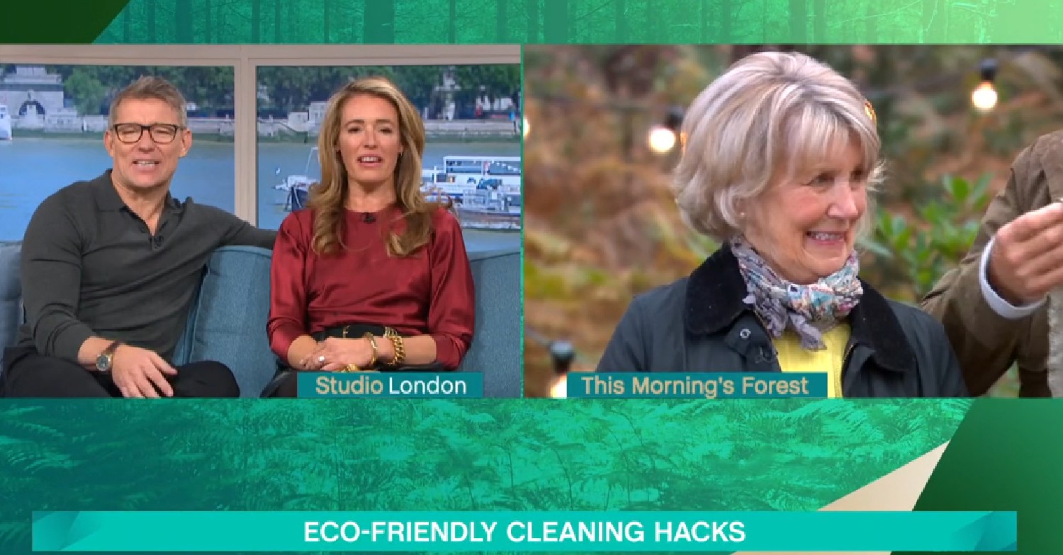 Ben Shephard and Cat Deeley talking to This Morning guest and Craig Doyle