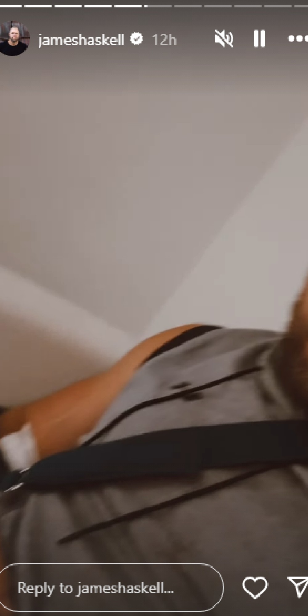 James Haskell on his Instagram story