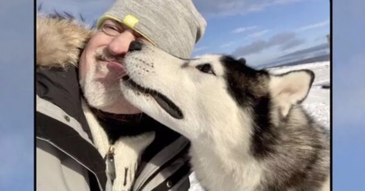 Photo of Bill Bailey and a husky seen on BBC Breakfast