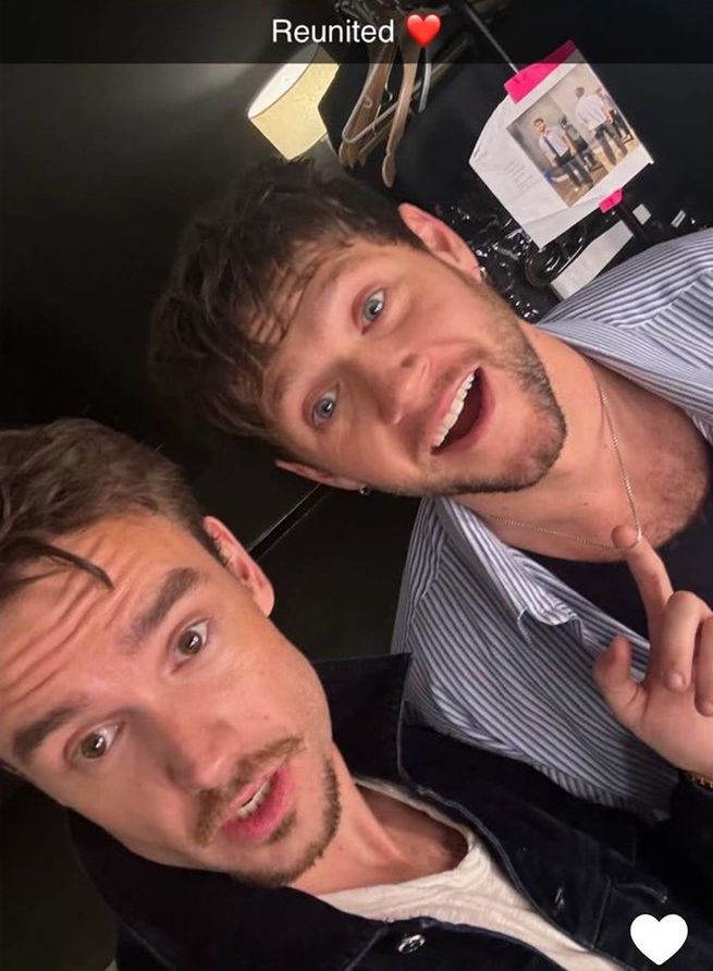 Liam Payne posting with Niall Horan