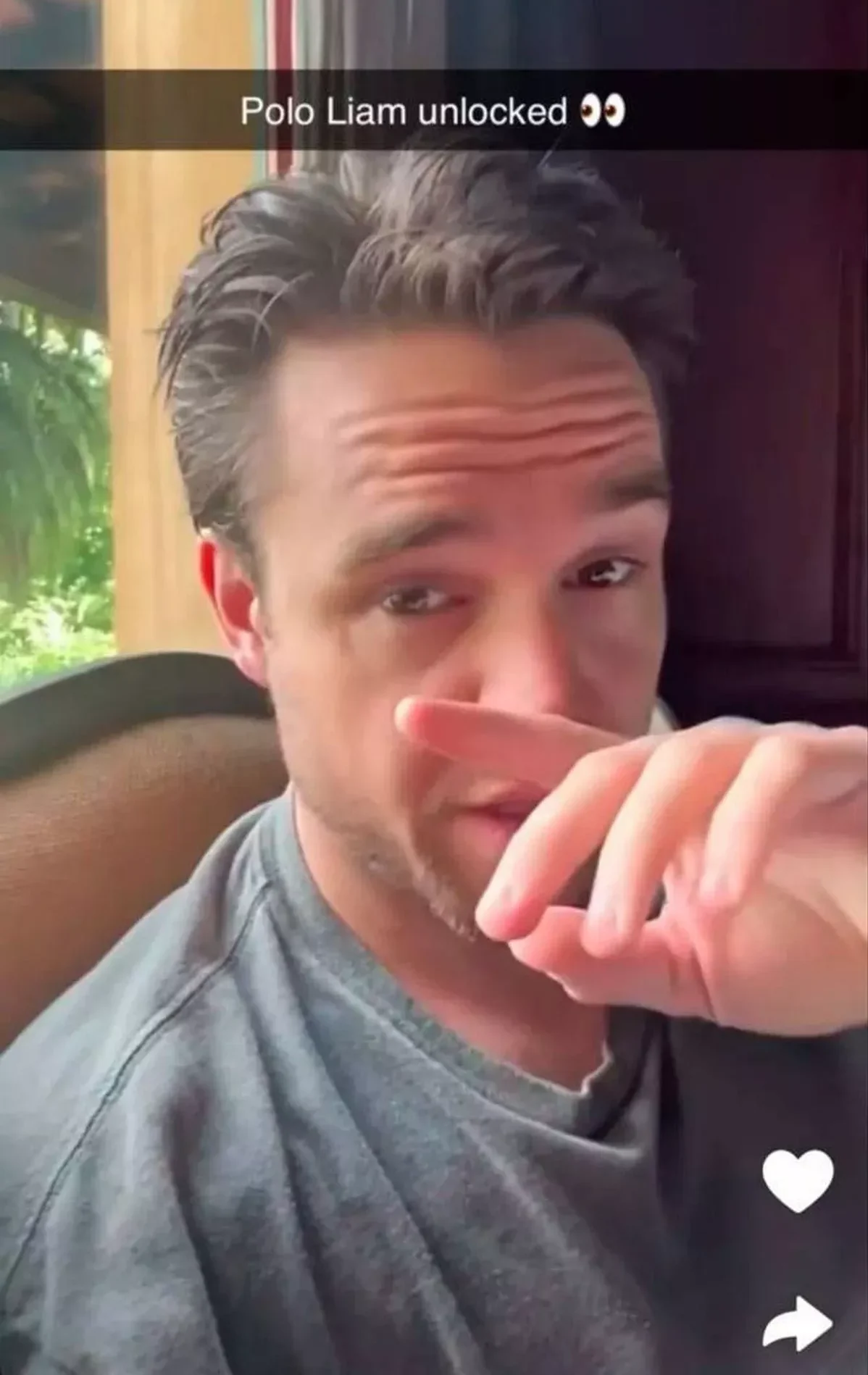 Liam Payne speaking on Snapchat