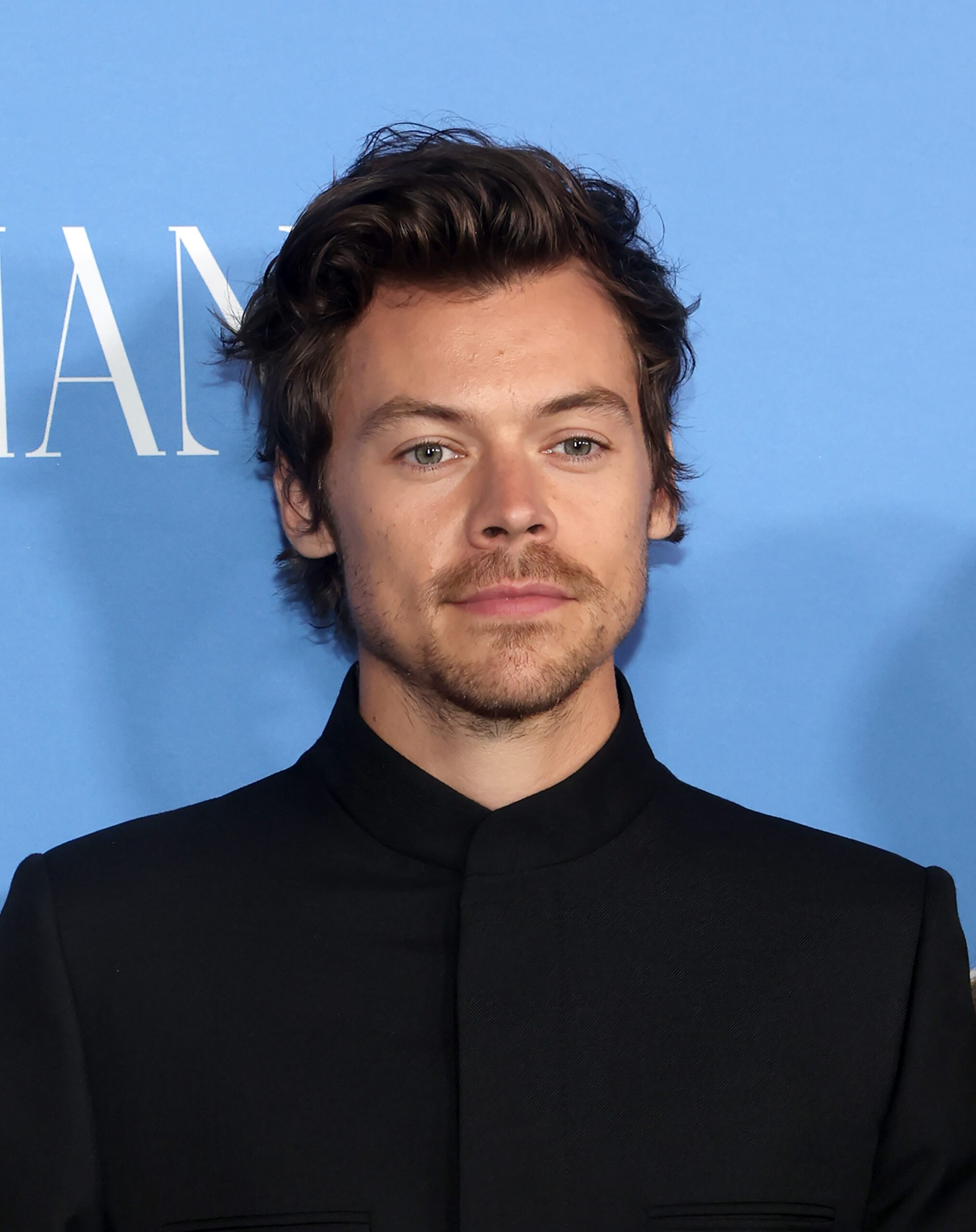 Harry Styles posing at event