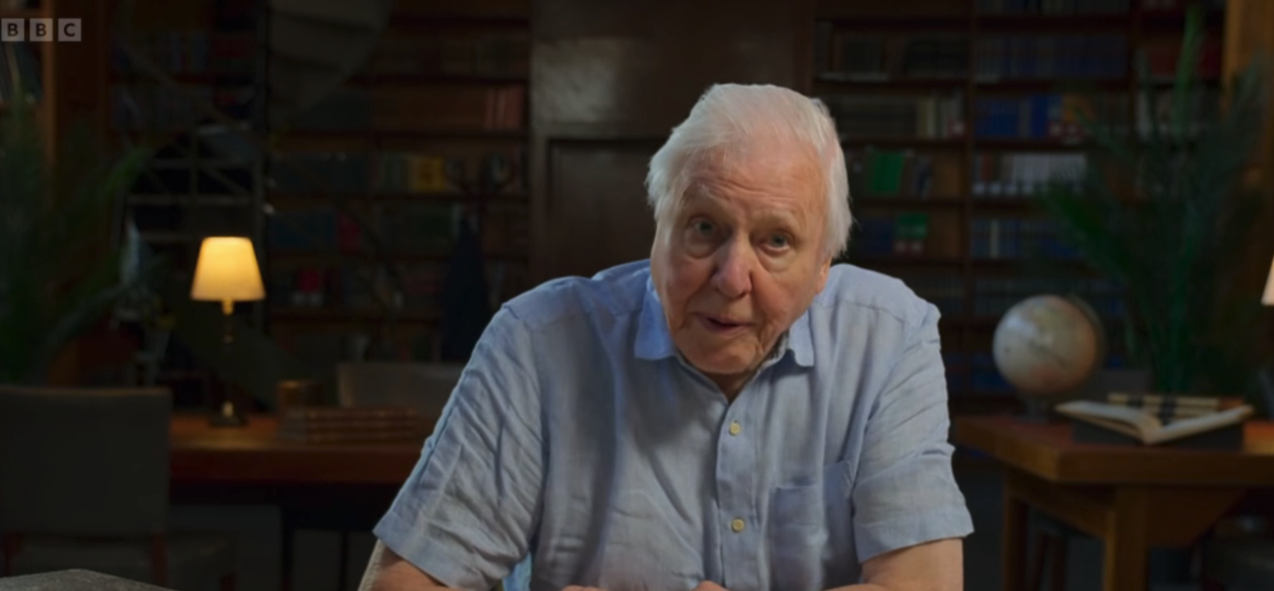 Sir David Attenborough talking to camera in a blue shirt