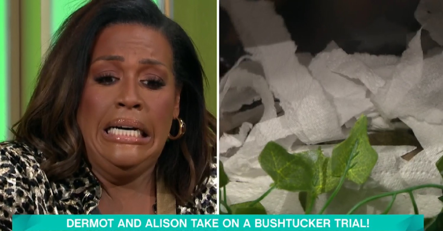 Alison Hammond looking scared alongside box containing mice on This Morning today