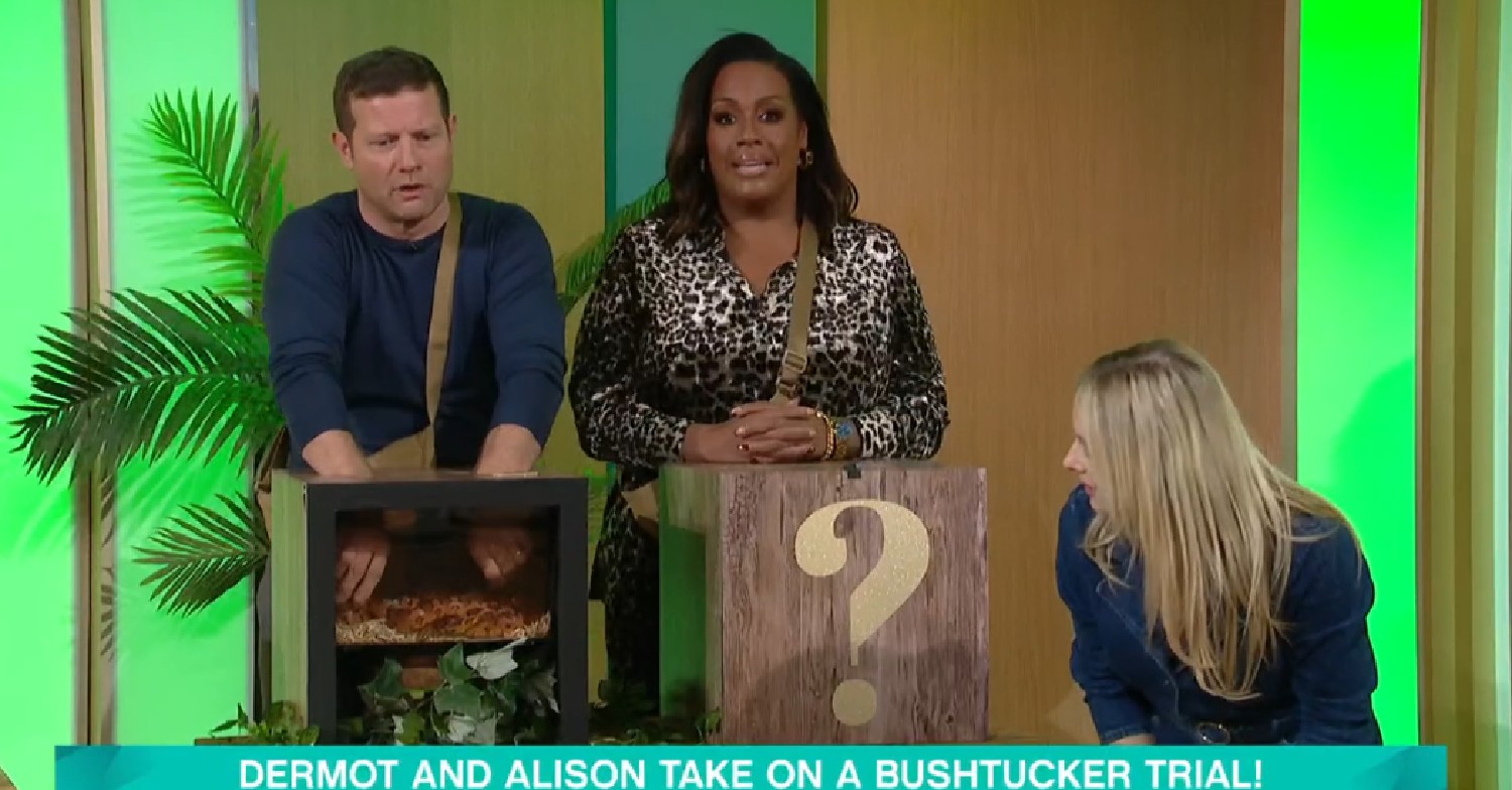 Dermot O'Leary and Alison Hammond taking on I'm A Celebrity trial on This Morning today