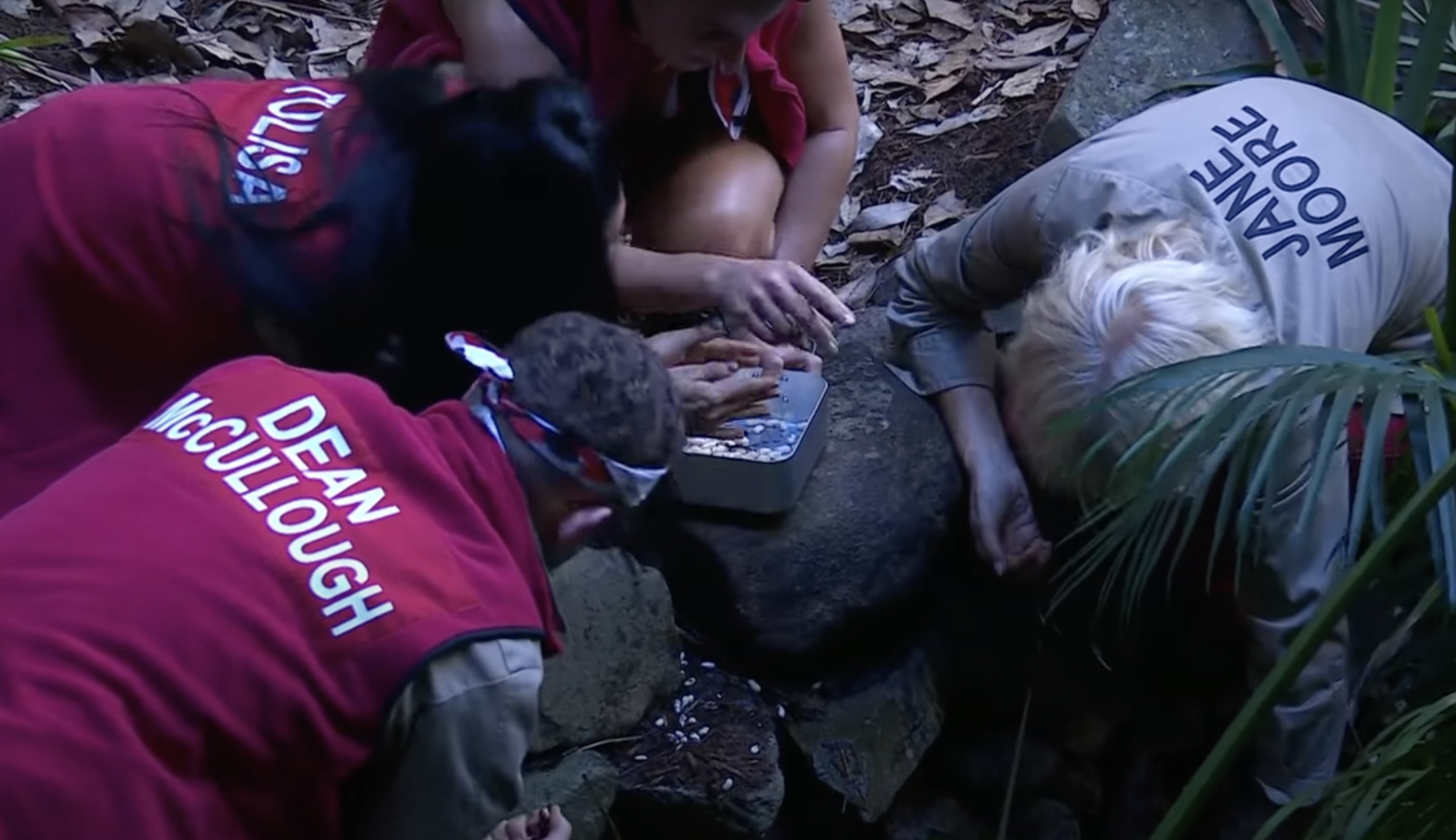 I'm A Celeb fans predict cooking drama after Tulisa spills the beans (Credit: ITV)